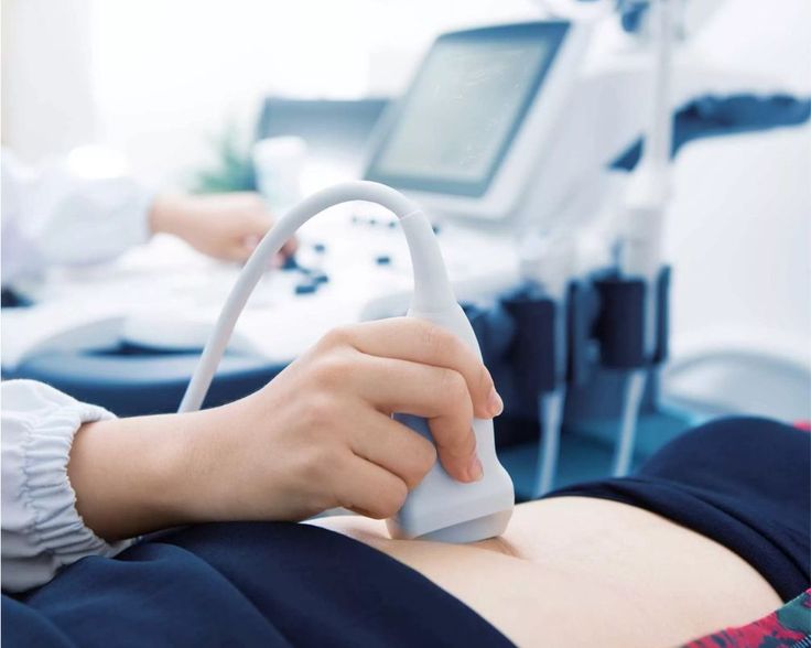 Material Teórico para el Curso de Ecografía de Pelvis Masculina y Escrotal: Diagnóstico de Precisión y Guía Clínica para el Profesional de la Salud
