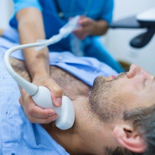 Material Teórico para el Curso de Ecografía Vascular Doppler Carotídea: Detección, Cuantificación de Estenosis y Estratificación de Riesgo de ACV