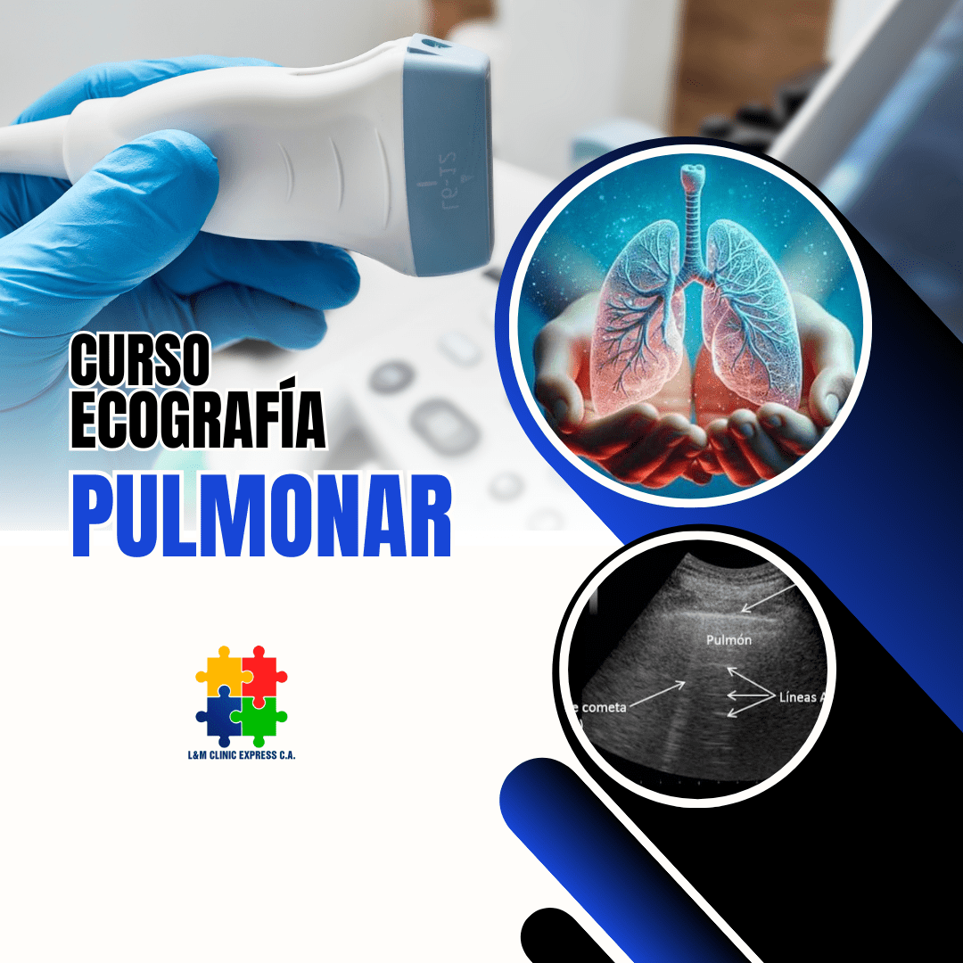 Curso de Ecografía Pulmonar