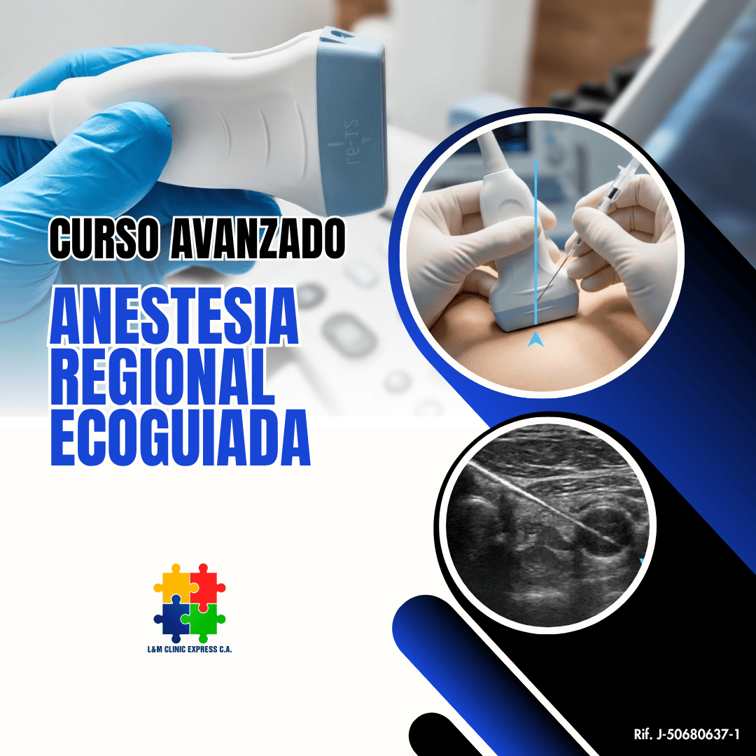 Curso Superior de Anestesia Regional Ecoguiada